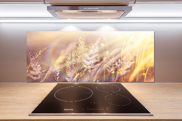 Cooker splashback Tall grass