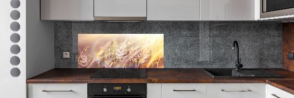 Cooker splashback Tall grass