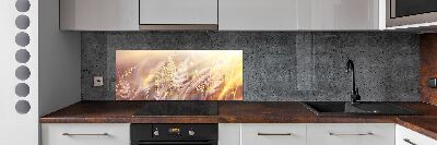 Cooker splashback Tall grass