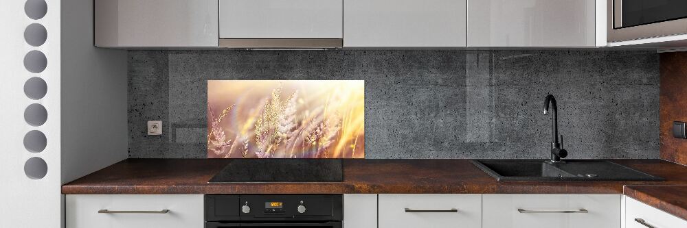 Cooker splashback Tall grass