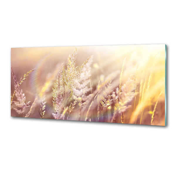 Cooker splashback Tall grass