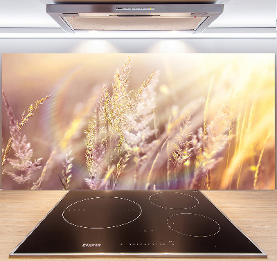 Cooker splashback Tall grass