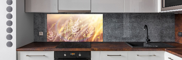 Cooker splashback Tall grass