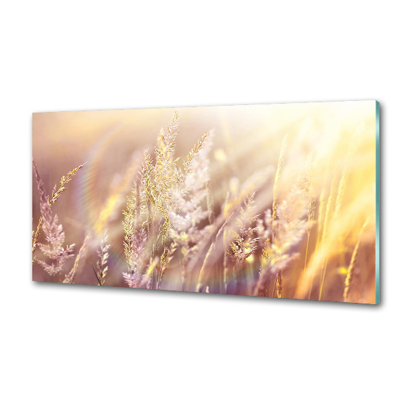 Cooker splashback Tall grass