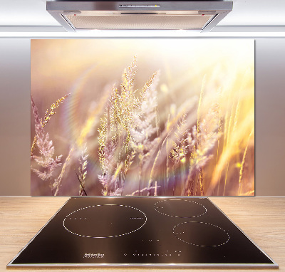 Cooker splashback Tall grass