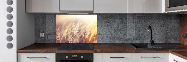 Cooker splashback Tall grass