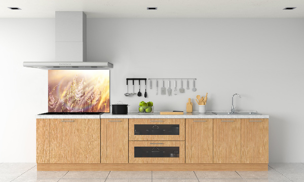 Cooker splashback Tall grass