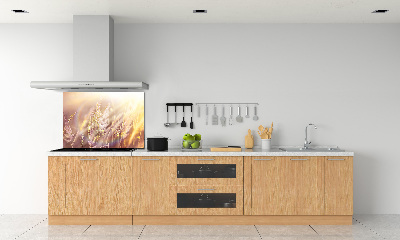 Cooker splashback Tall grass