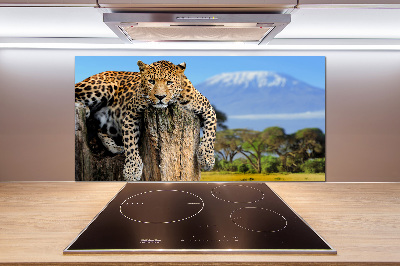 Cooker splashback Leopard on the trunk