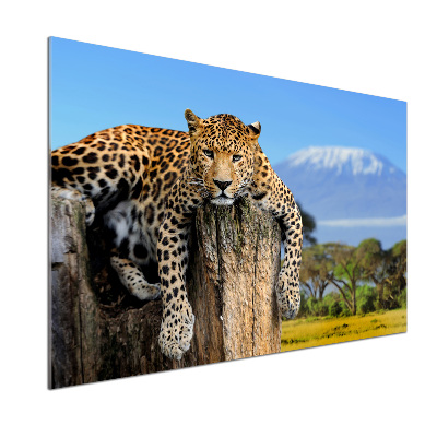 Cooker splashback Leopard on the trunk