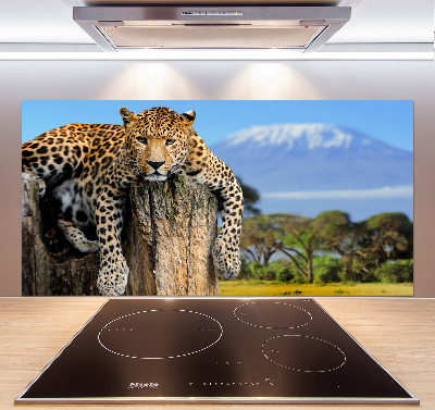 Cooker splashback Leopard on the trunk