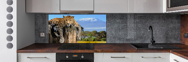 Cooker splashback Leopard on the trunk