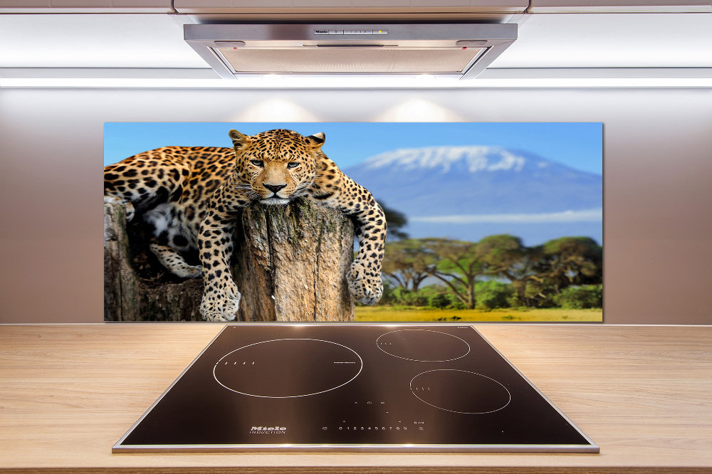 Cooker splashback Leopard on the trunk