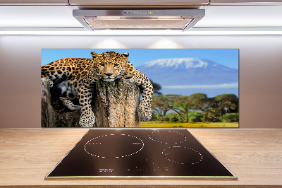 Cooker splashback Leopard on the trunk