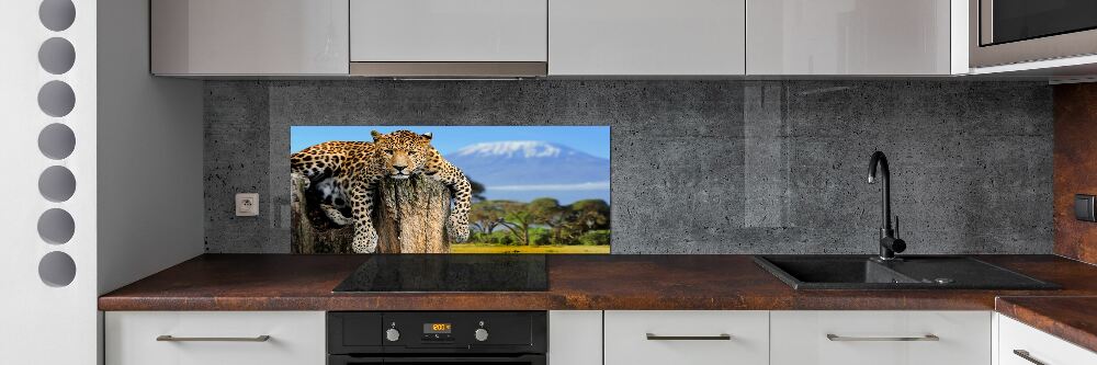 Cooker splashback Leopard on the trunk