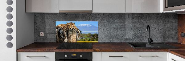 Cooker splashback Leopard on the trunk