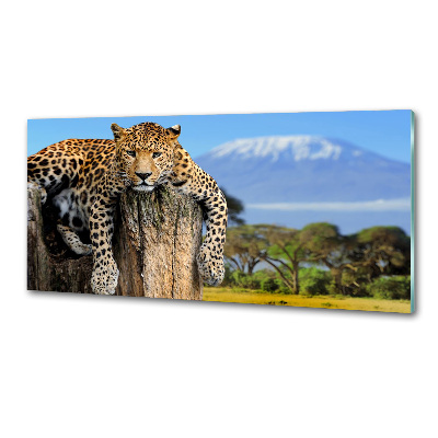 Cooker splashback Leopard on the trunk