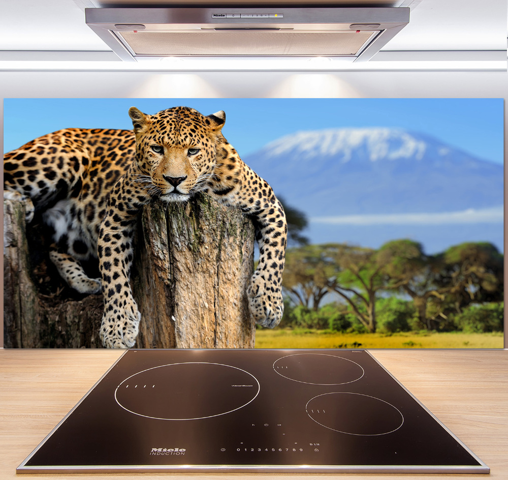 Cooker splashback Leopard on the trunk