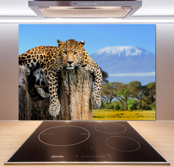 Cooker splashback Leopard on the trunk