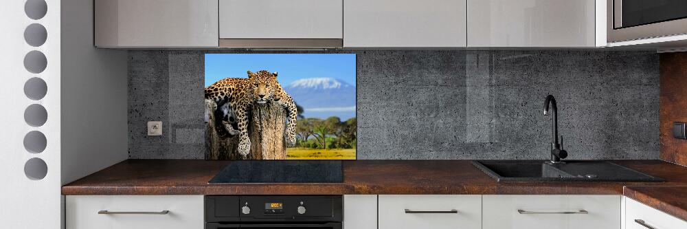 Cooker splashback Leopard on the trunk