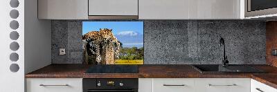 Cooker splashback Leopard on the trunk