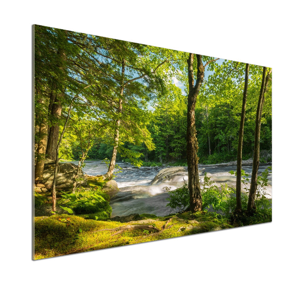 Cooker splashback River in the forest