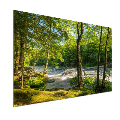 Cooker splashback River in the forest