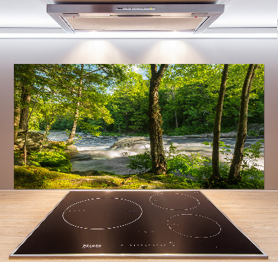 Cooker splashback River in the forest