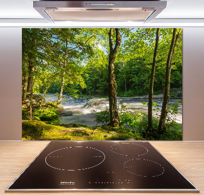 Cooker splashback River in the forest