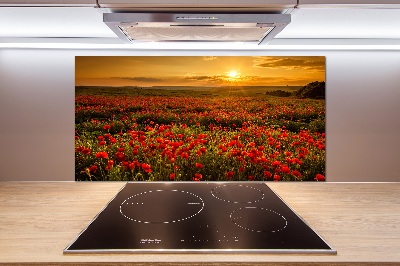 Cooker splashback Mak field