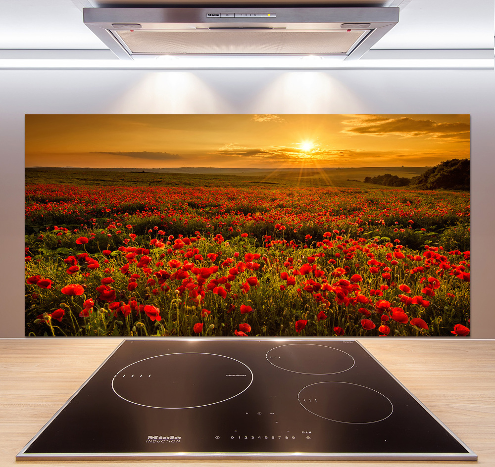 Cooker splashback Mak field