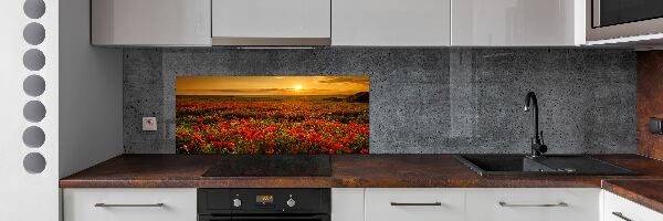 Cooker splashback Mak field