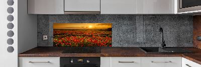 Cooker splashback Mak field