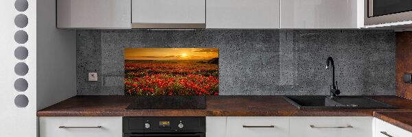 Cooker splashback Mak field