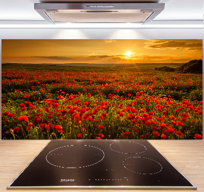 Cooker splashback Mak field