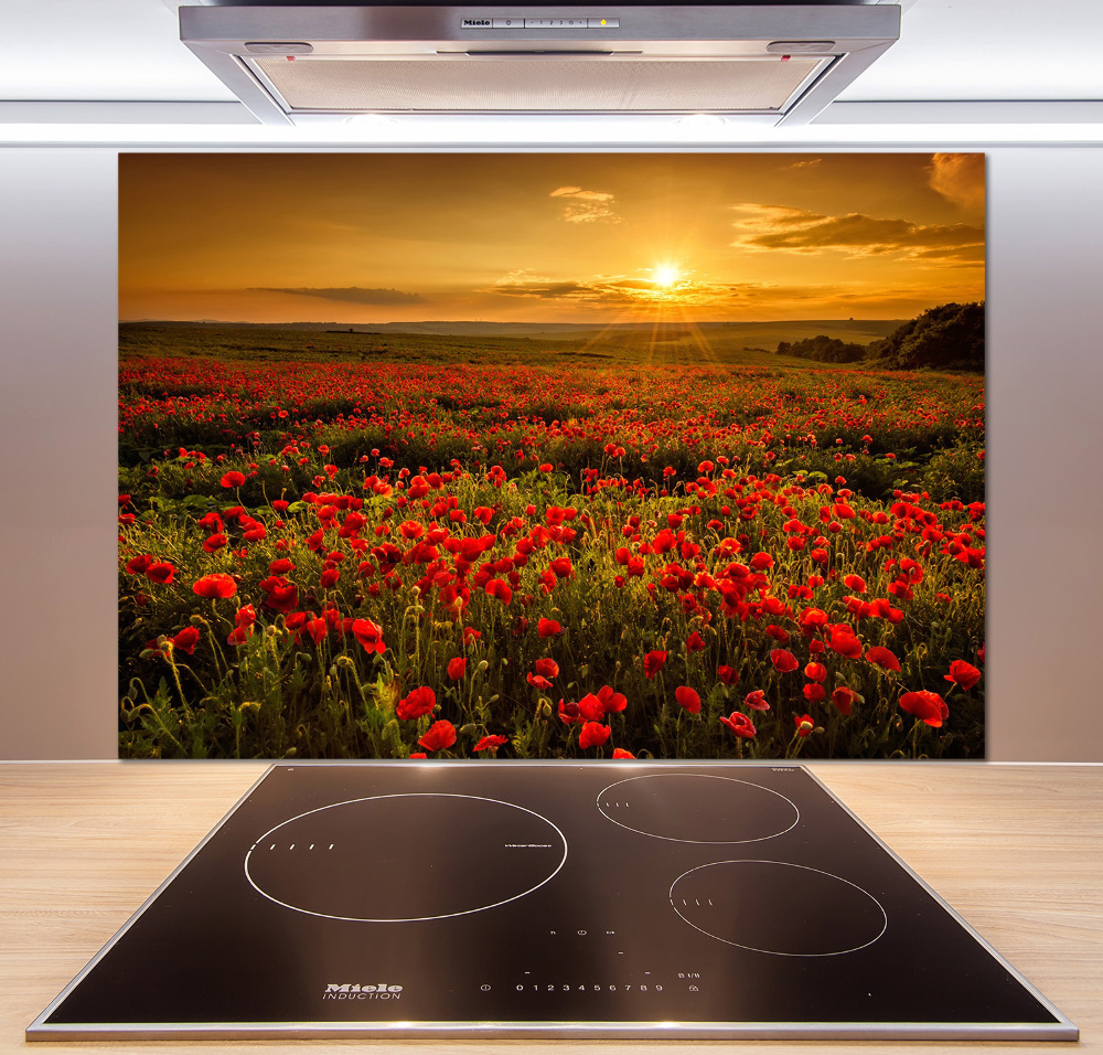 Cooker splashback Mak field