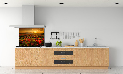 Cooker splashback Mak field