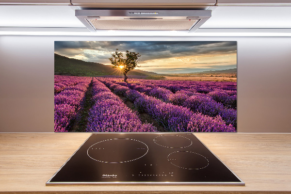 Kitchen splashback Lavender field