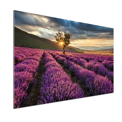 Kitchen splashback Lavender field