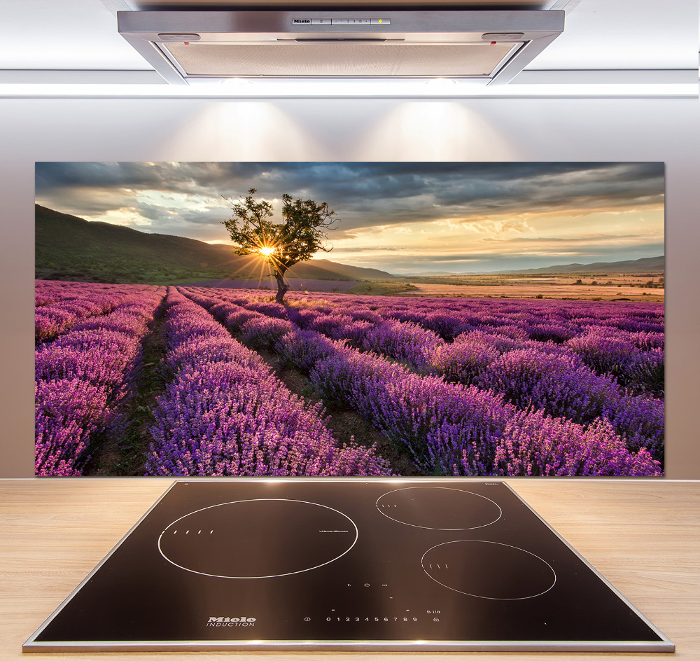 Kitchen splashback Lavender field