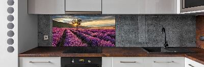 Kitchen splashback Lavender field