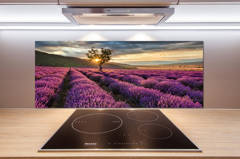 Kitchen splashback Lavender field