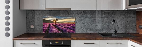 Kitchen splashback Lavender field