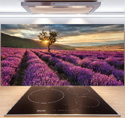 Kitchen splashback Lavender field