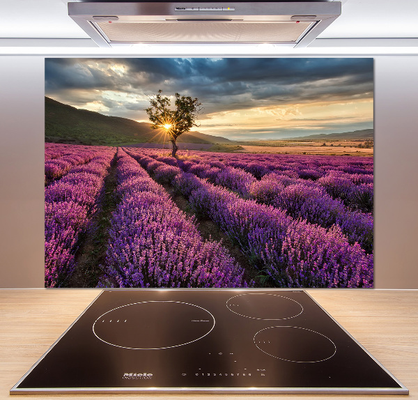 Kitchen splashback Lavender field