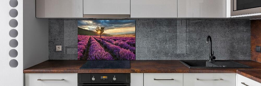 Kitchen splashback Lavender field