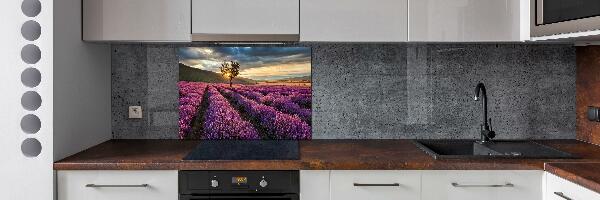 Kitchen splashback Lavender field