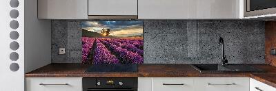 Kitchen splashback Lavender field