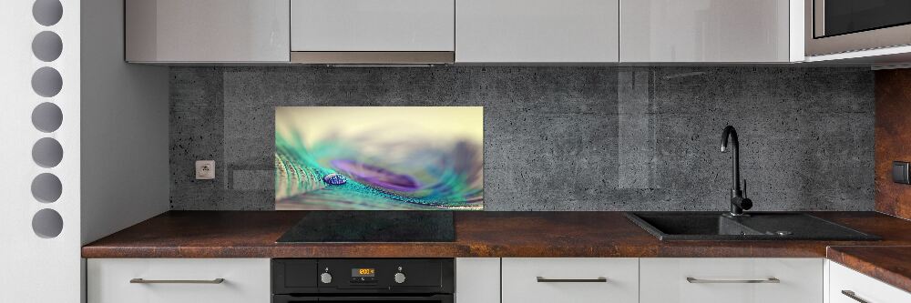 Cooker splashback Drop on the feather