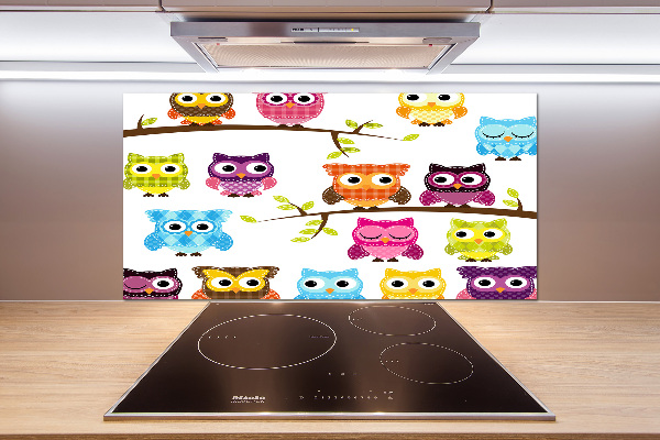 Kitchen splashback Colorful owls